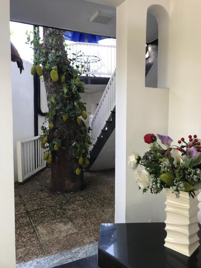 Duvi'S Shelter Bungalow Коломбо Екстериор снимка